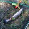 corentin 🎣🎣