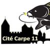 Cité Carpe 11 (Youtube & Facebook)
