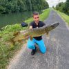 sacha pendillon