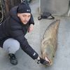 Fish_ Panama