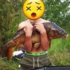 Carpiste Du 85
