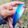Damien Poncelet pk#6
