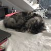 Benjamin LAURENT