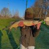 Oscar 🧌🎣🐟
