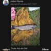 Julien Pluche