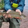 Pêcheur de la Carpe 🎣