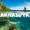 CARNASUTRA Fishing