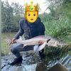 Fishworld. Officiel