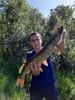 Leny Noel