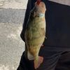 nathan _31