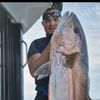 Fred Fish'incorsica