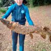 Maxence Le Roux