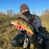 Toorop Lure