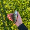 nathan_s 🐟