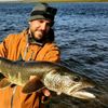 Cyril (Youtube Makwa Fishing) Saison