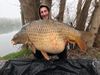 Elie Nashbaits