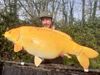 Elie Nashbaits