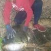 Carna Fish Fish