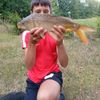 yanis doyen