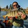 antonin herveet -> Fishing Studio