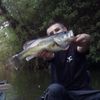 Mitia Sziedat