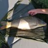 nathan fishing fr