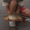 lulu@ chabaud. Du 13 🎣🎣