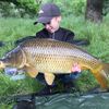 Luca (Carp Activity)