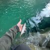 Theo Fishing equipe 2