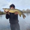 Olivier THE FISHERMAN